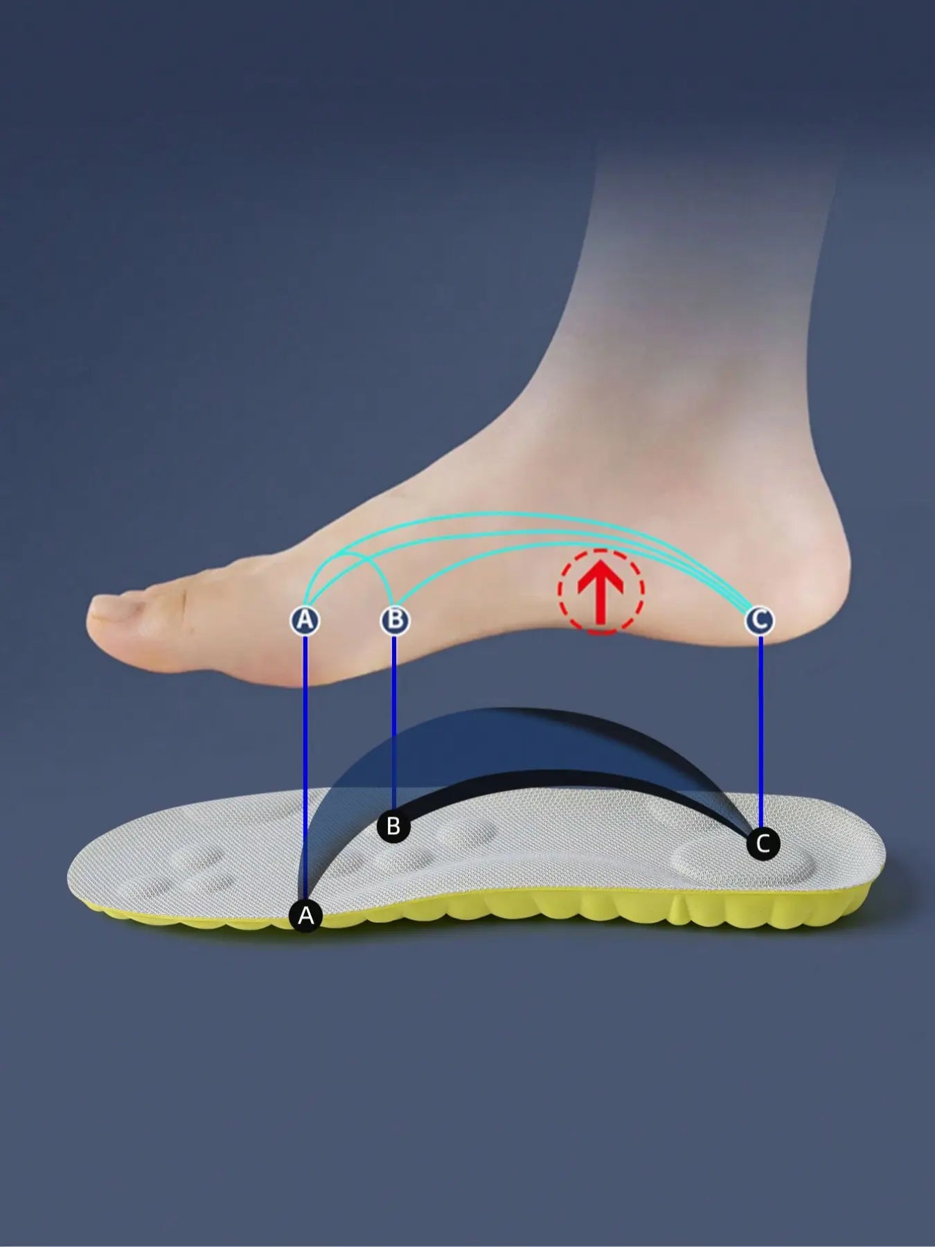 Sports Shoe Insoles – Shock-Absorbing & Anti-Slip Rubbe
